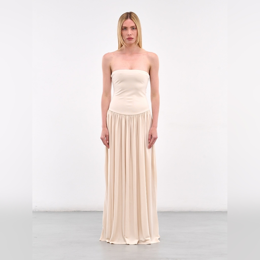 Aya Muse Dia Strapless Maxi Dress